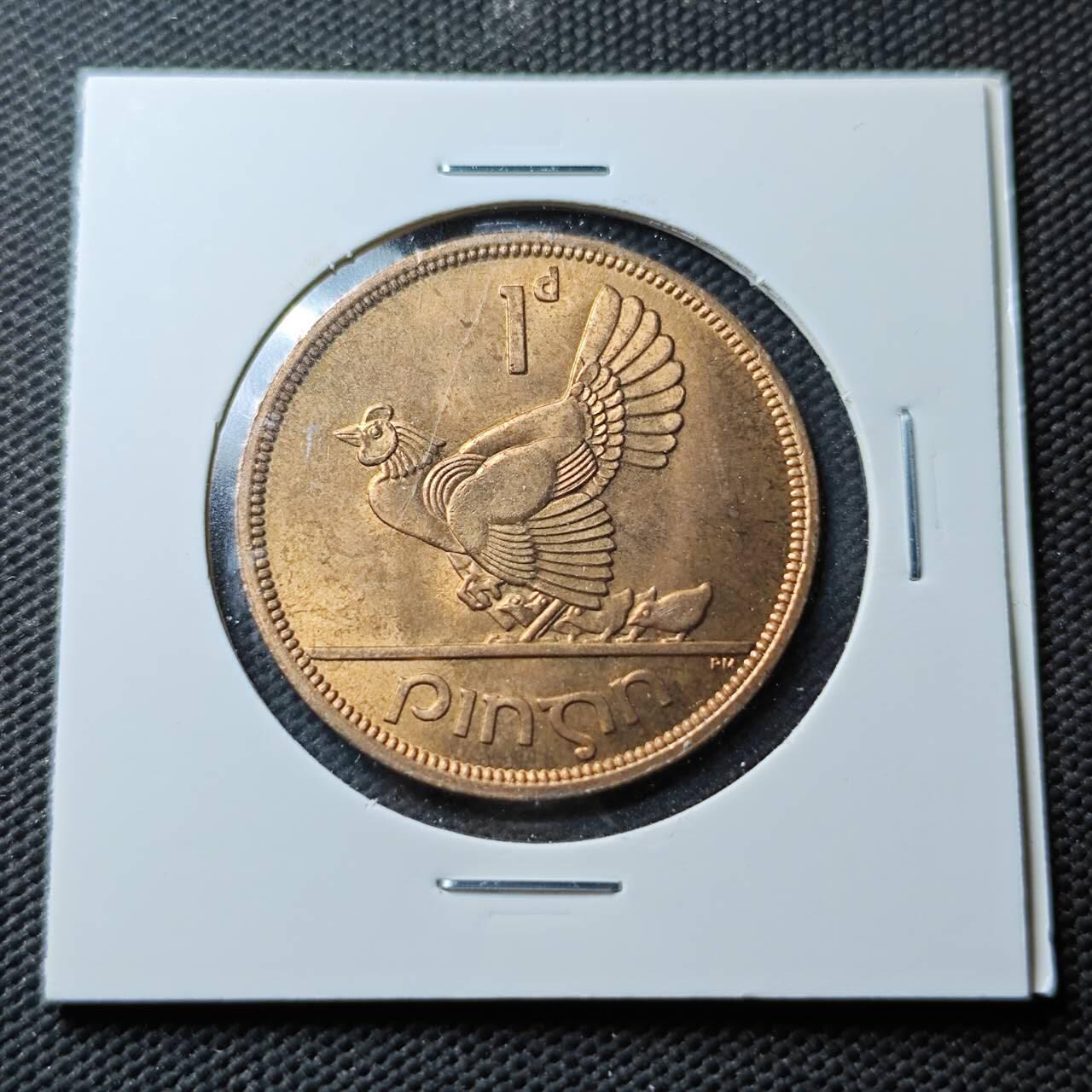 KK钱币收藏小铺  第371场  2月预留时间 周末发货  1968爱尔兰1便士 母鸡铜币