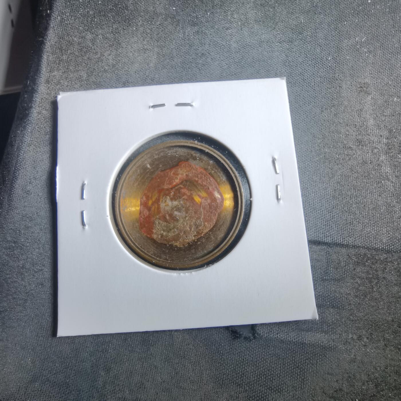 沼泽如烟--第906场