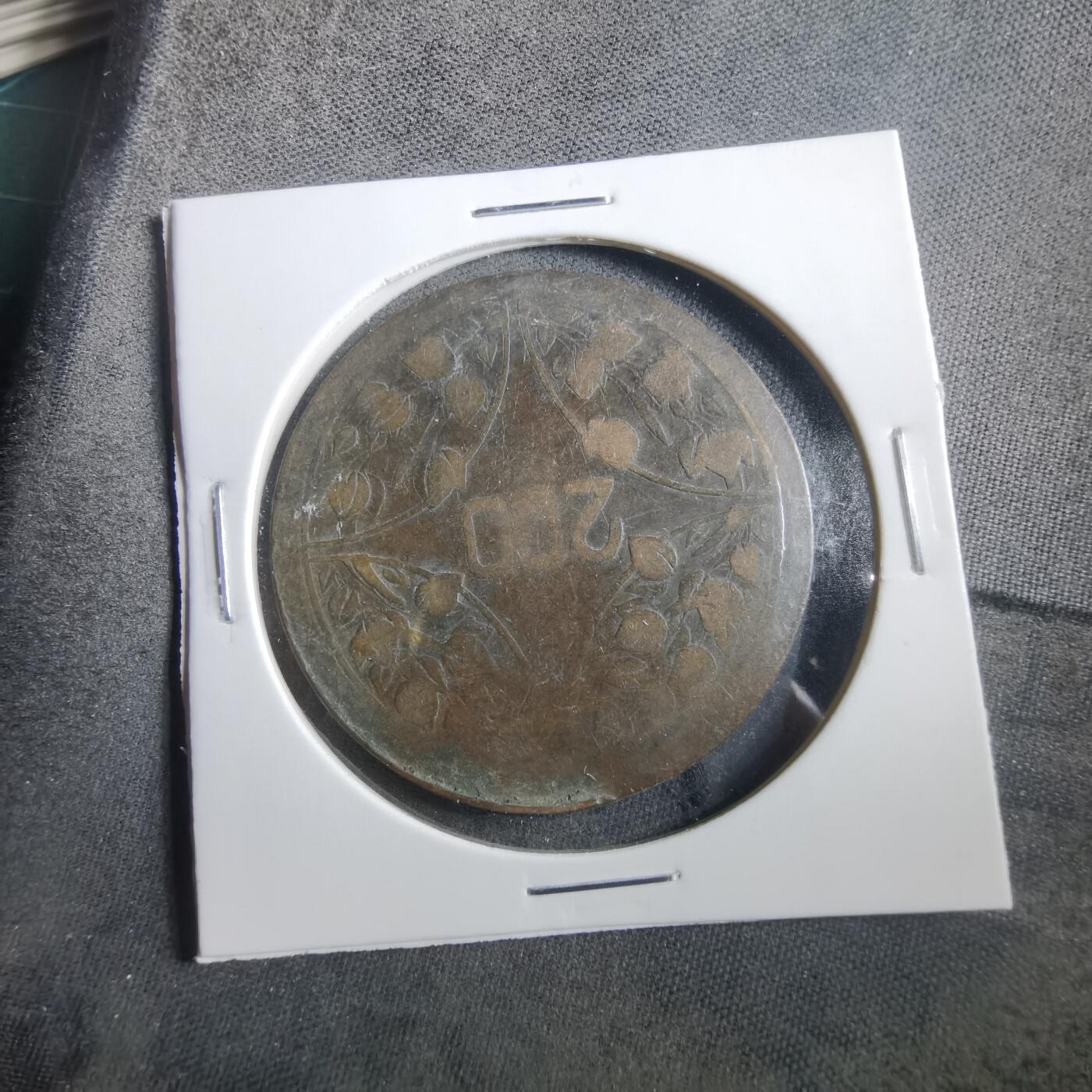 沼泽如烟--第906场