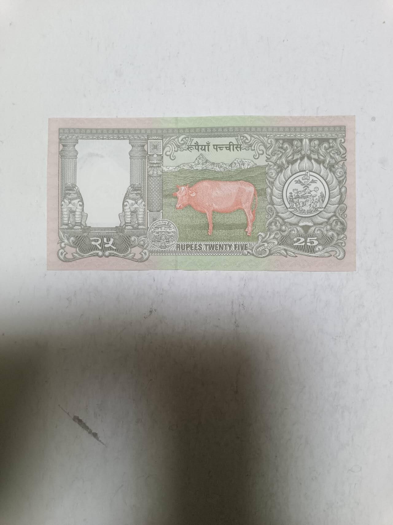 【20251120】非全新纸币第305场 尼泊尔25卢比