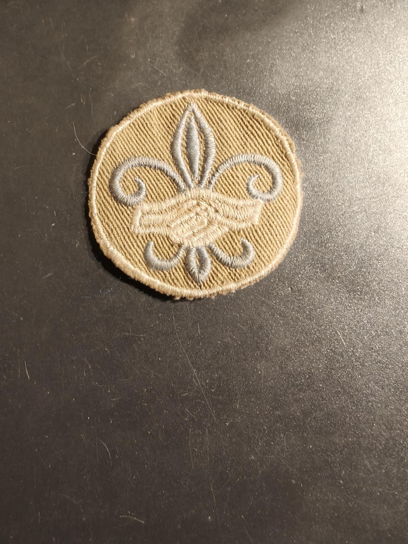 老王徽章第163期 13-15日三场连拍 16日统一发货  13、14日结束后可寄存 美国童子军臂章 