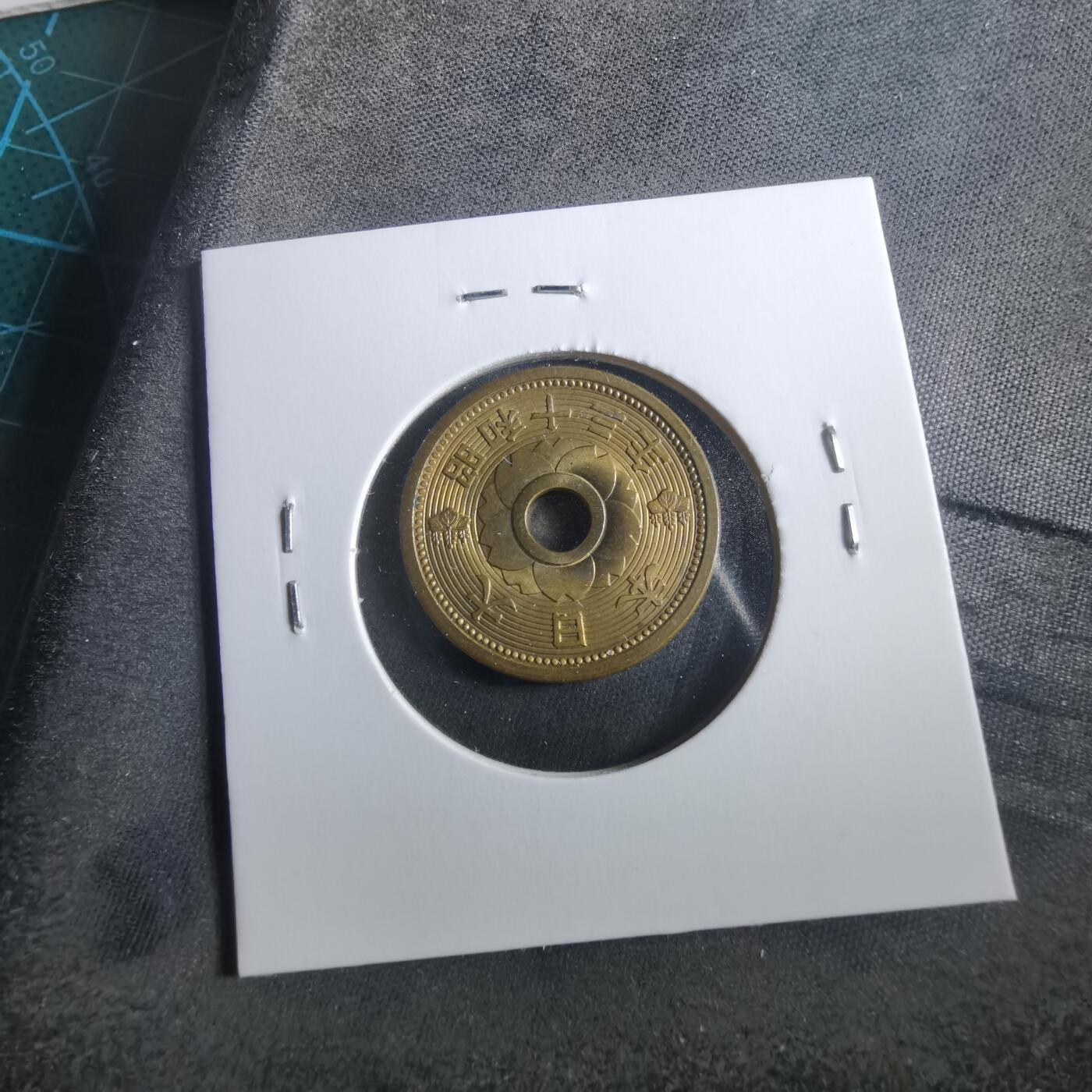 沼泽如烟--第906场