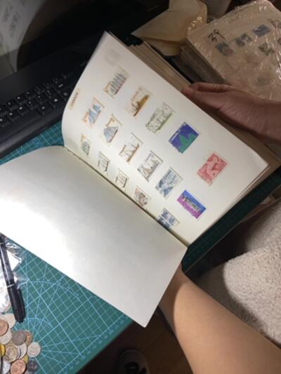 2025年第一百二十九场(总第一百五十五场）外国邮票、散币场(免佣金) 外国老藏家–集邮套册48页(含大量外国老邮票)