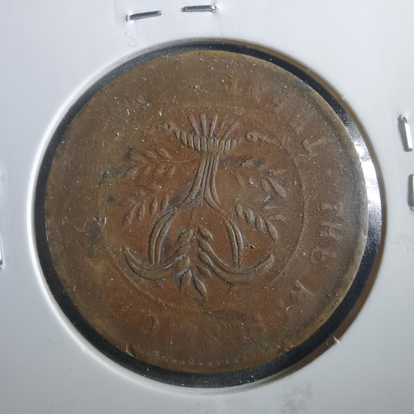 沼泽如烟--第906场