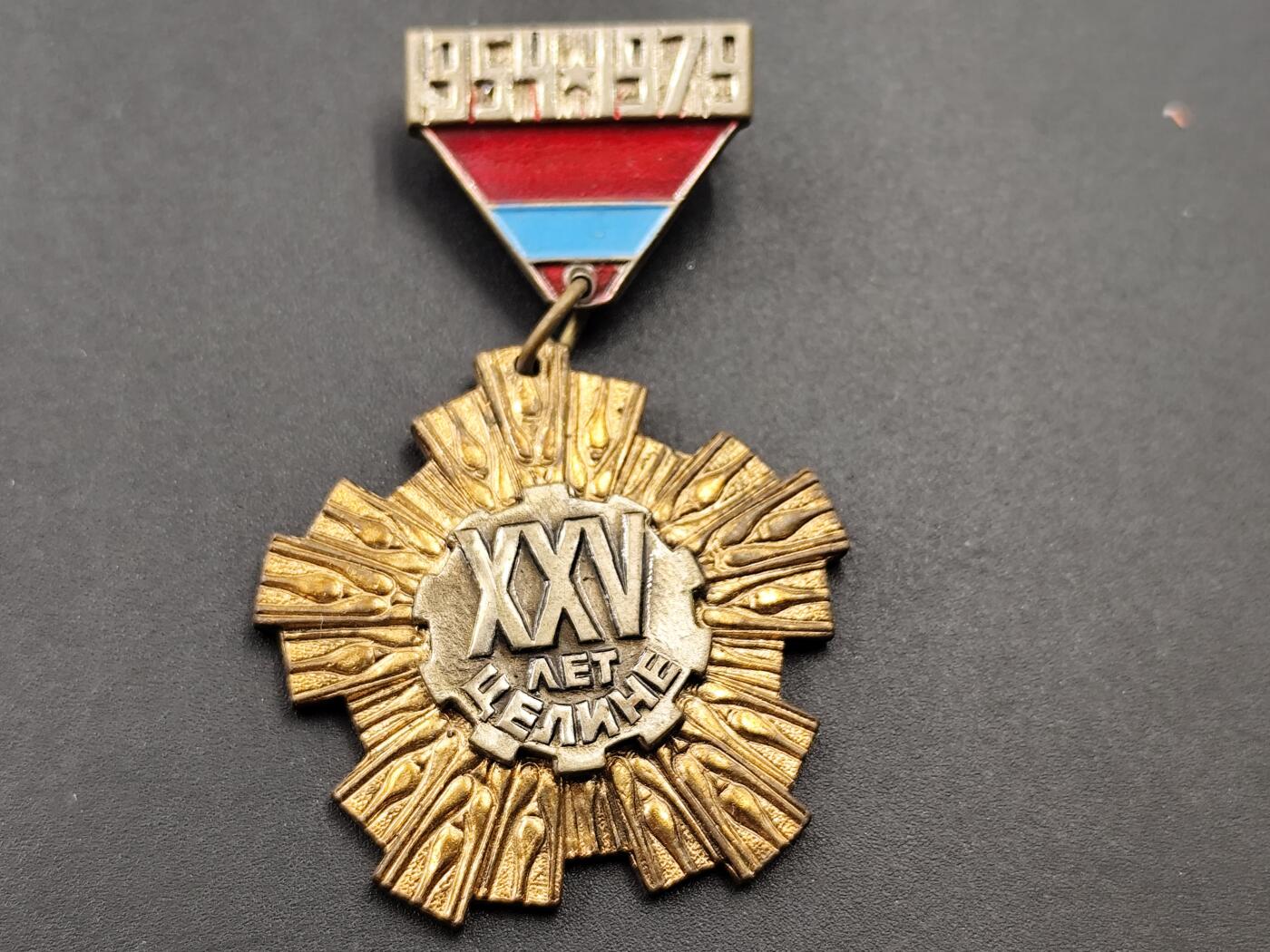 11月13日奖章钱币专场（今晚继续更新） 苏联乌克兰1974年切列波维兹25周年纪念章