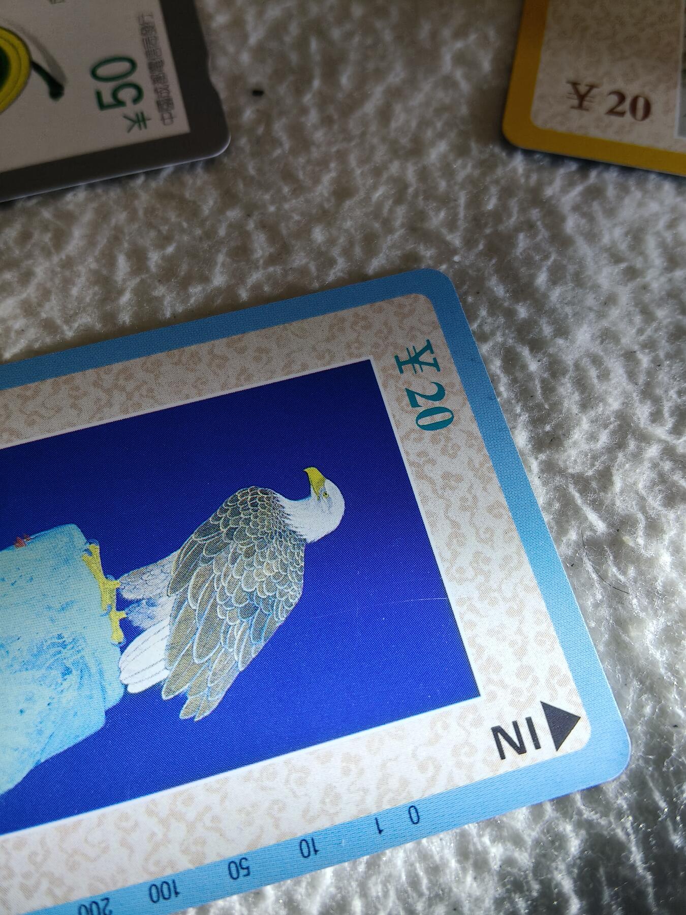 易卡拍卖第58期 工笔画（花鸟）。易卡五星⭐️标4枚，四星⭐️标一枚。如图所示！