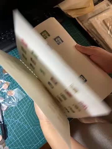 2025年第一百二十九场(总第一百五十五场）外国邮票、散币场(免佣金) 外国老藏家–集邮套册50页(含大量外国老邮票)