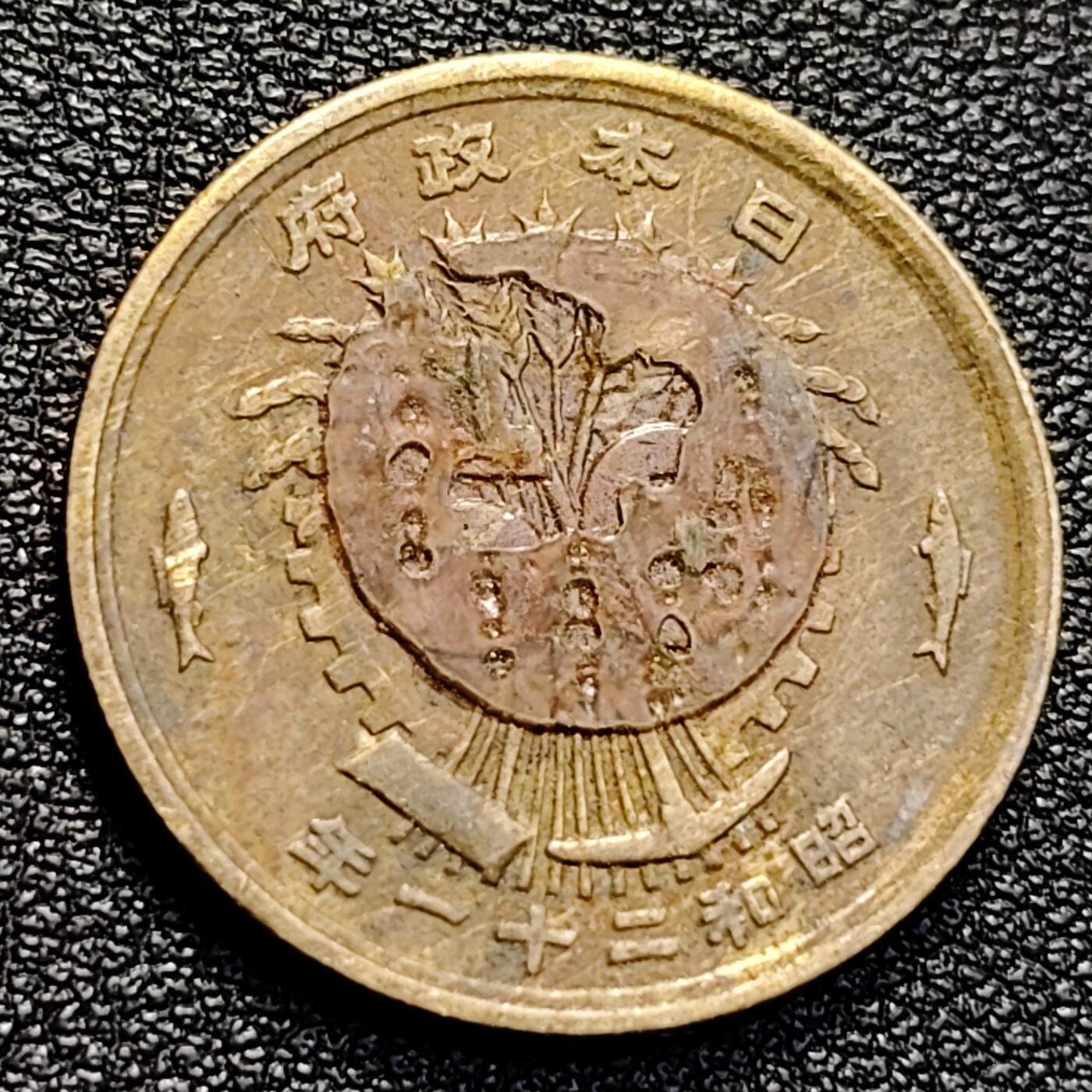 泉币菌-第129场-精品福利场（本场拍品多，请提前出价） 。