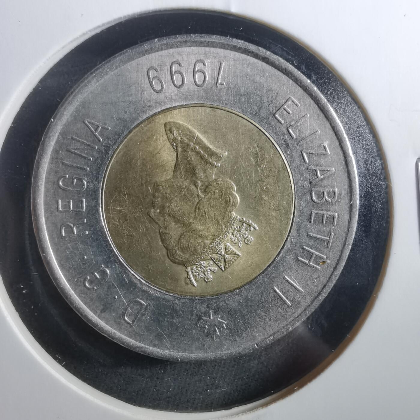 沼泽如烟--第906场