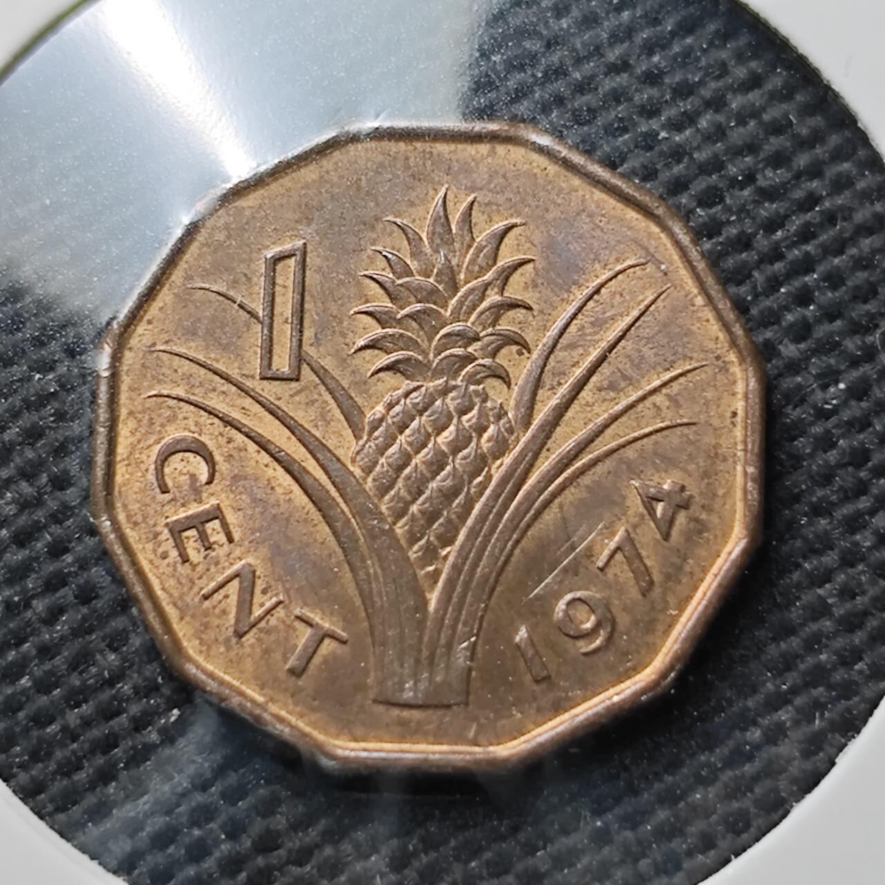 KK钱币收藏小铺  第371场  2月预留时间 周末发货  1974斯威士兰1分铜币