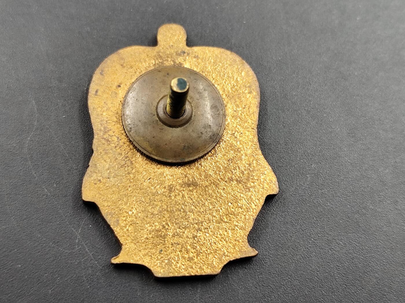 11月13日奖章钱币专场（今晚继续更新） 苏联 核潜艇系列证章铜制部分珐琅