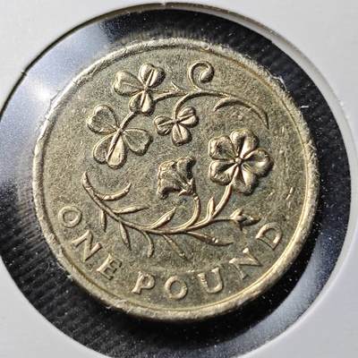 KK钱币收藏小铺  第371场  2月预留时间 周末发货 - 2014 英国1镑