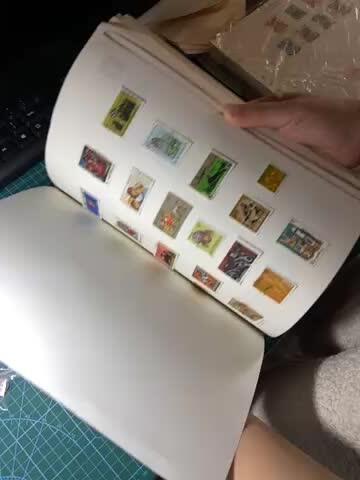 2025年第一百二十九场(总第一百五十五场）外国邮票、散币场(免佣金) 外国老藏家–集邮套册38页(含大量外国老邮票)