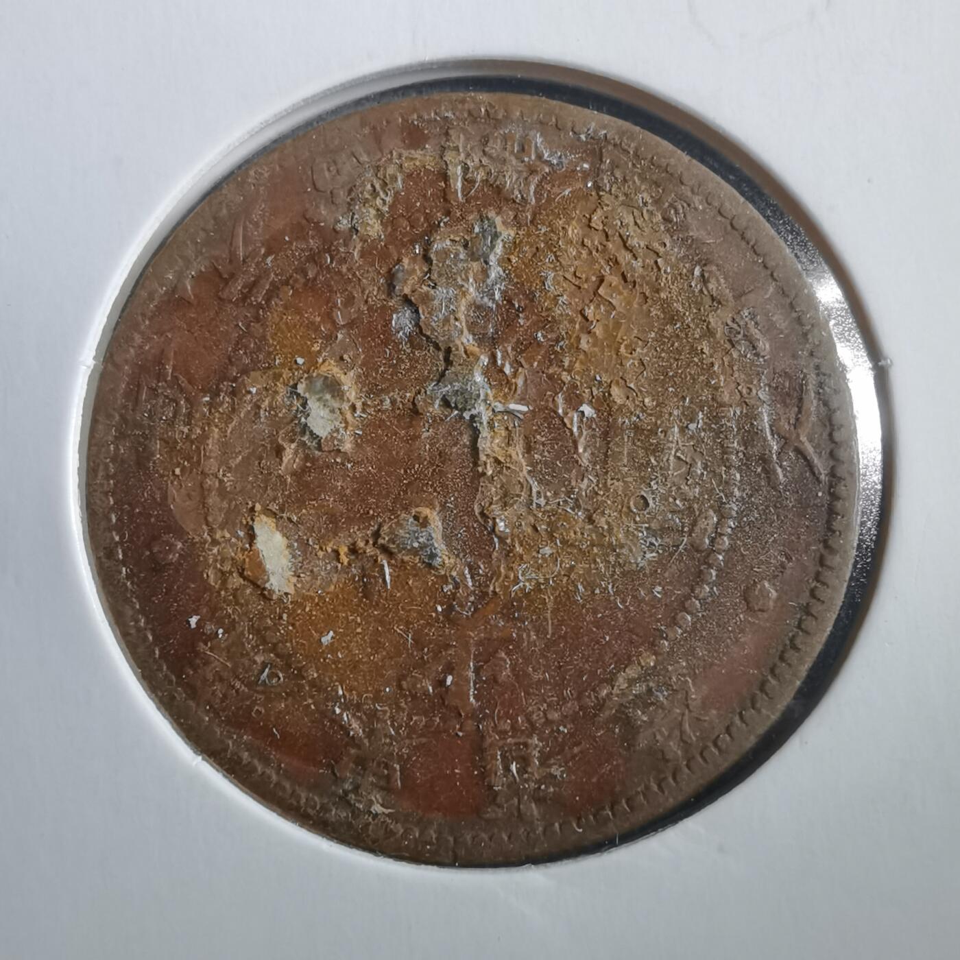 沼泽如烟--第906场 光绪元宝