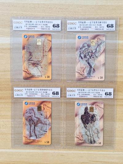 （手机SIM卡 IC卡 交通卡 磁卡）第08期2025年11月16日晚21：10时延时截拍 - IC卡新卡 电总版 评级卡