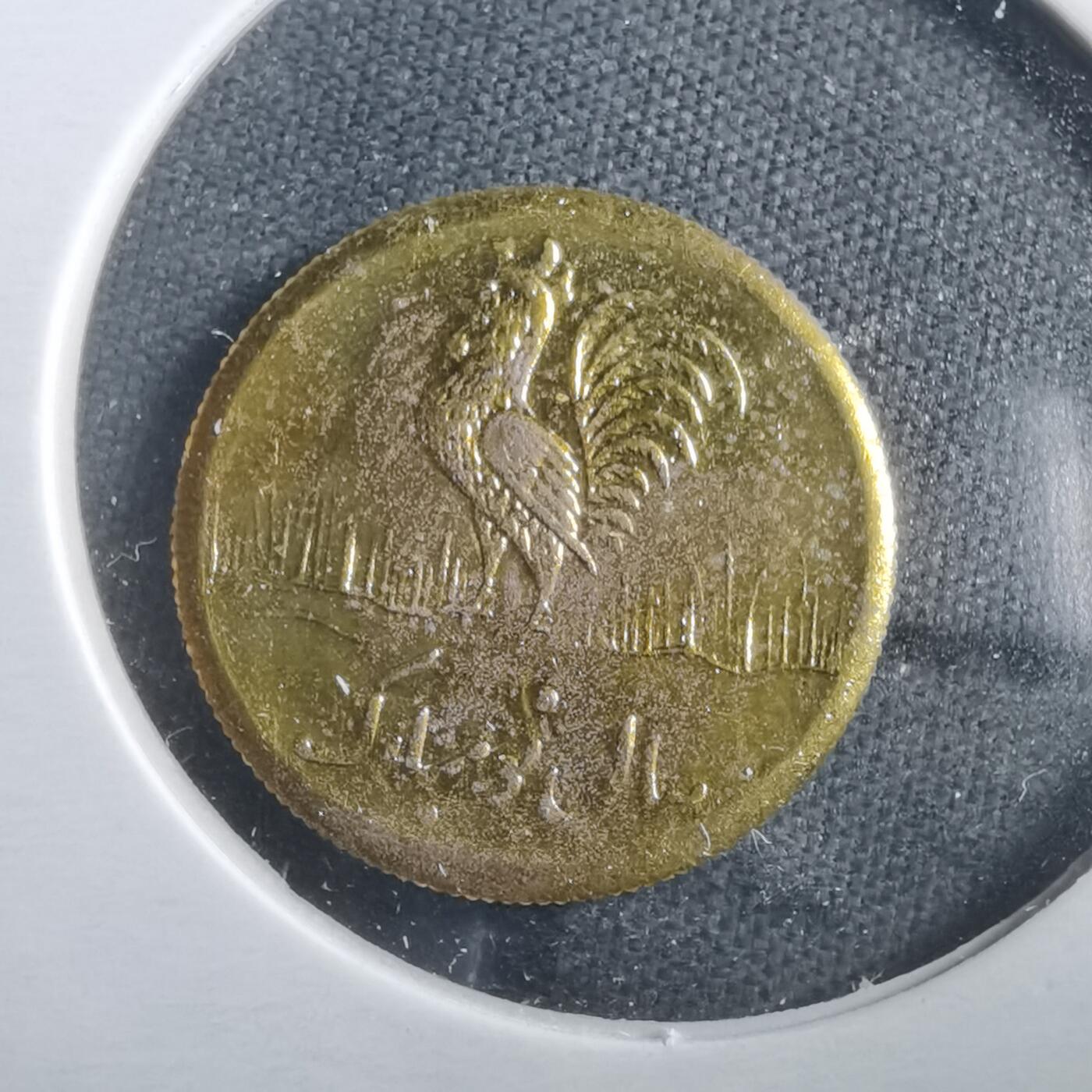 沼泽如烟--第906场 伊朗代币