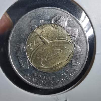 沼泽如烟--第906场 - 加拿大1999年2元纪念币