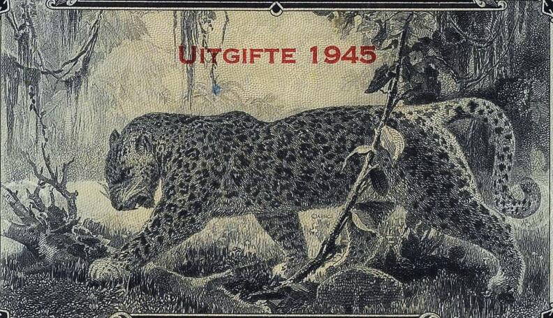 【Blue Auction】世界纸币精拍第751期——18级TOP拍卖/信誉/品质/专业/高效💫 【实钞 大名誉品 名家Smart旧藏 仅3张更高分 无47】比属刚果 1945年50法郎 ABNC出品 经典丛林豹 PMG35 雕刻非常精美 状态佳 值得收藏