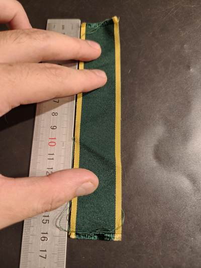老王徽章第163期 13-15日三场连拍 16日统一发货  13、14日结束后可寄存 - 英国效率奖章绶带    16cm 