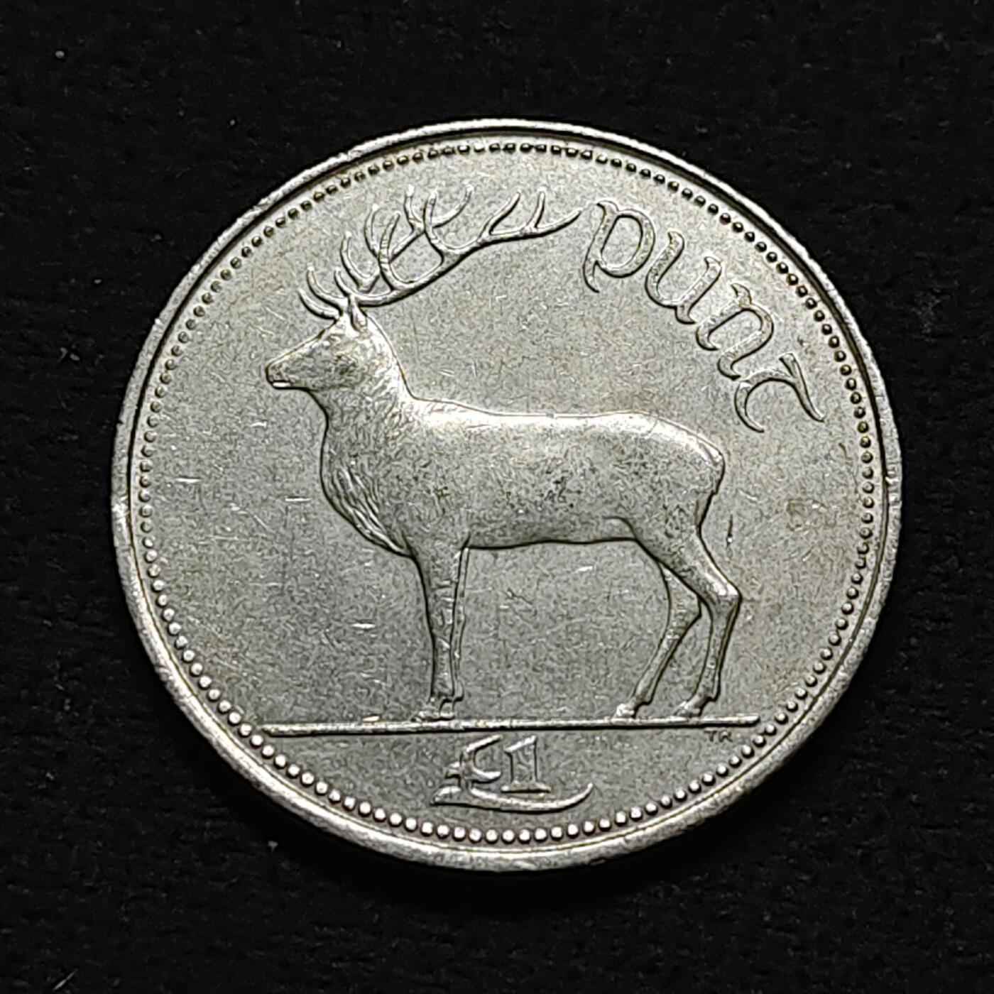 【全场包邮】纯粹捡漏拍478场（免费代拍第15场） 爱尔兰1995年1镑