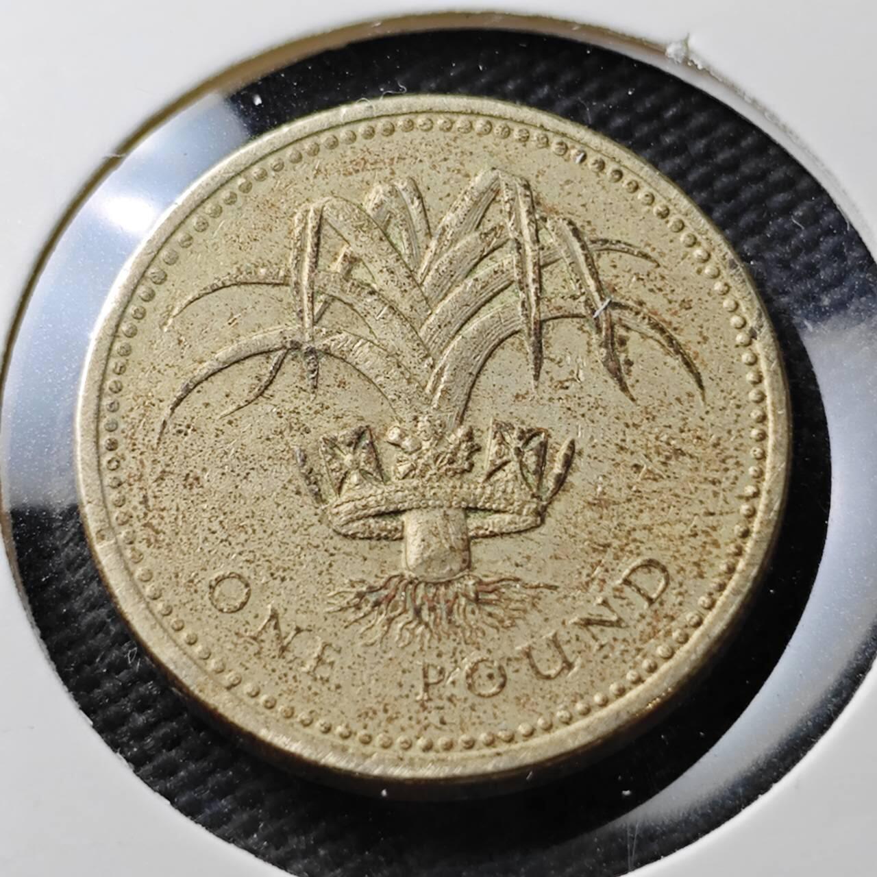 KK钱币收藏小铺  第371场  2月预留时间 周末发货  英国1镑