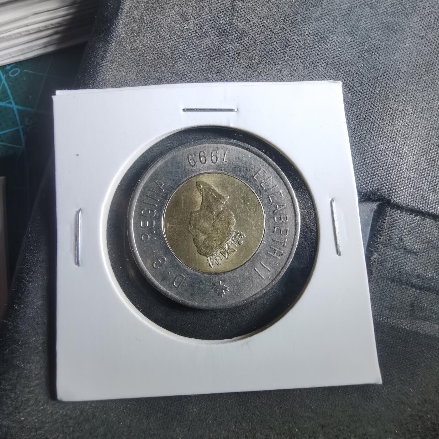 沼泽如烟--第906场