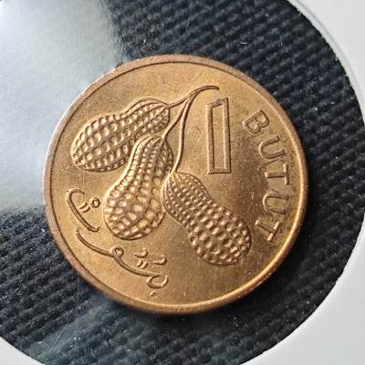 KK钱币收藏小铺  第371场  2月预留时间 周末发货 -  1971冈比亚1个铜币 好品