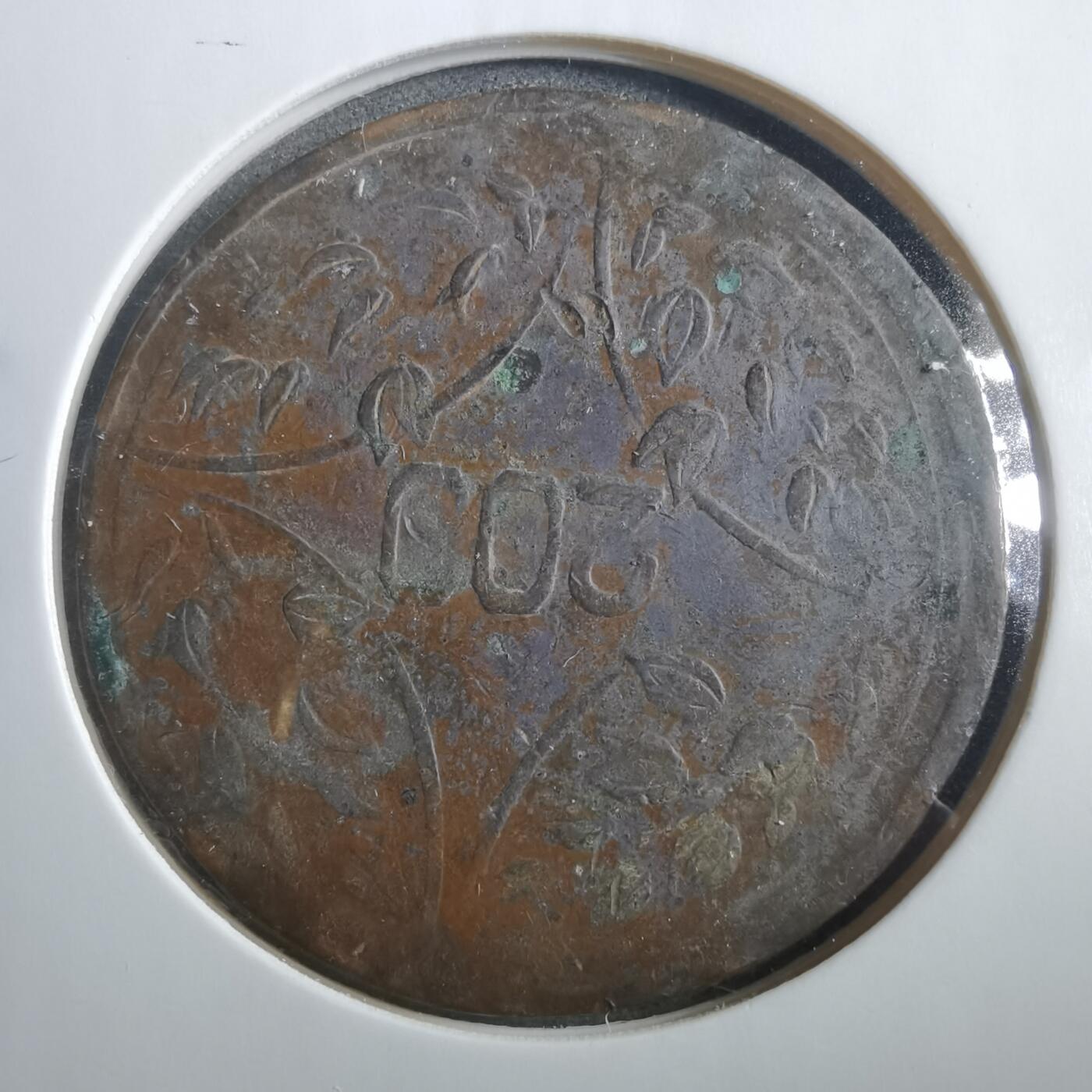 沼泽如烟--第906场