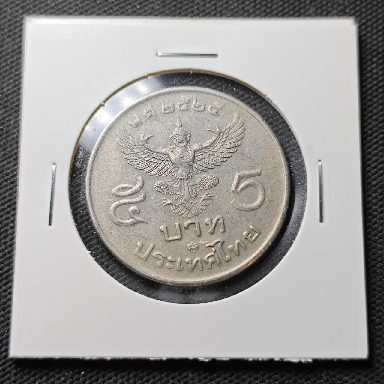 KK钱币收藏小铺  第371场  2月预留时间 周末发货