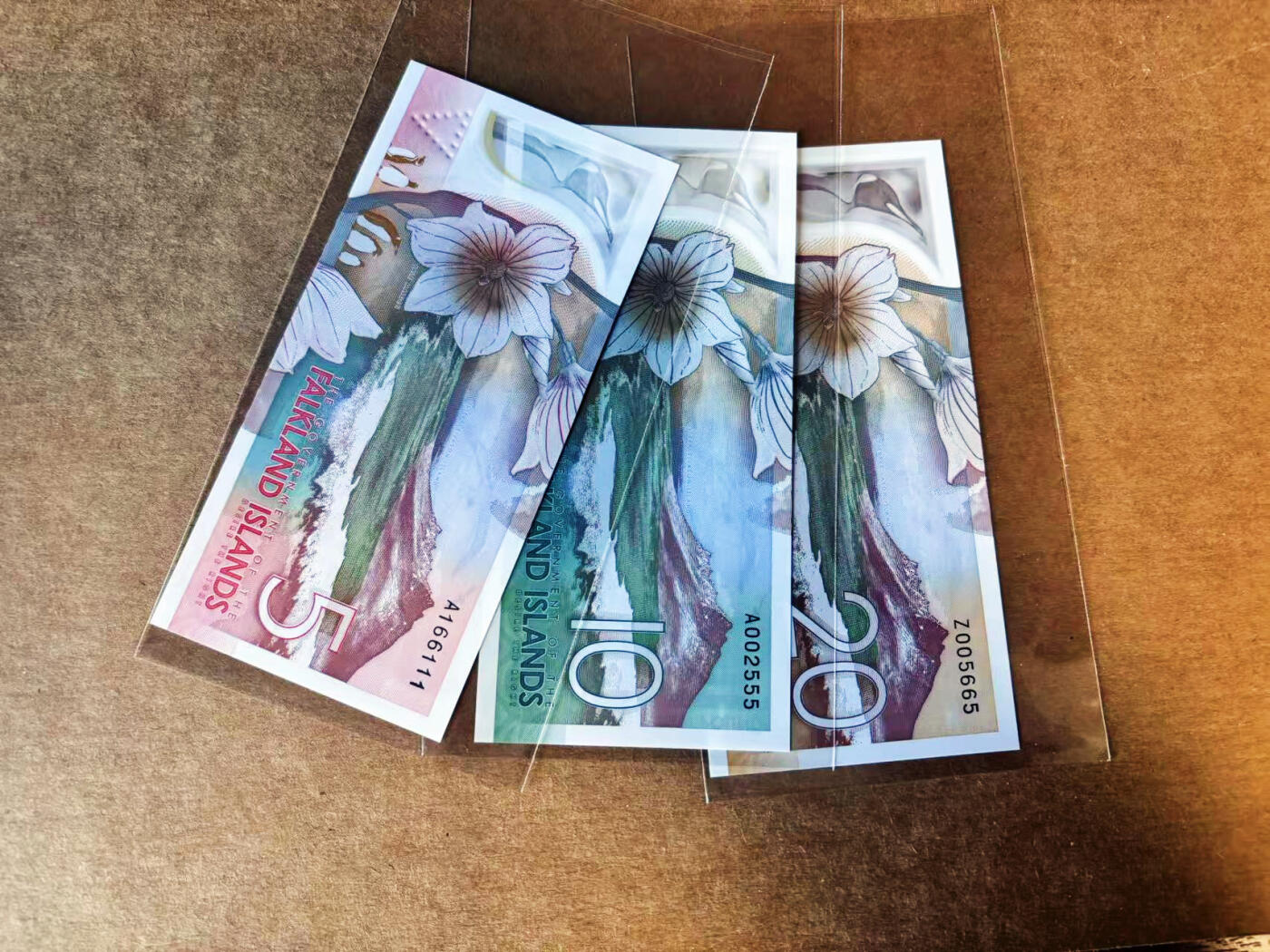 【Blue Auction】世界纸币精拍第751期——18级TOP拍卖/信誉/品质/专业/高效💫 【一组3张 含A冠豹子号无47】福克兰群岛 2025年5-20镑 全新UNC