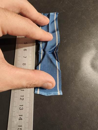 老王徽章第163期 13-15日三场连拍 16日统一发货  13、14日结束后可寄存 - 芬兰一级自由奖章绶带      12cm