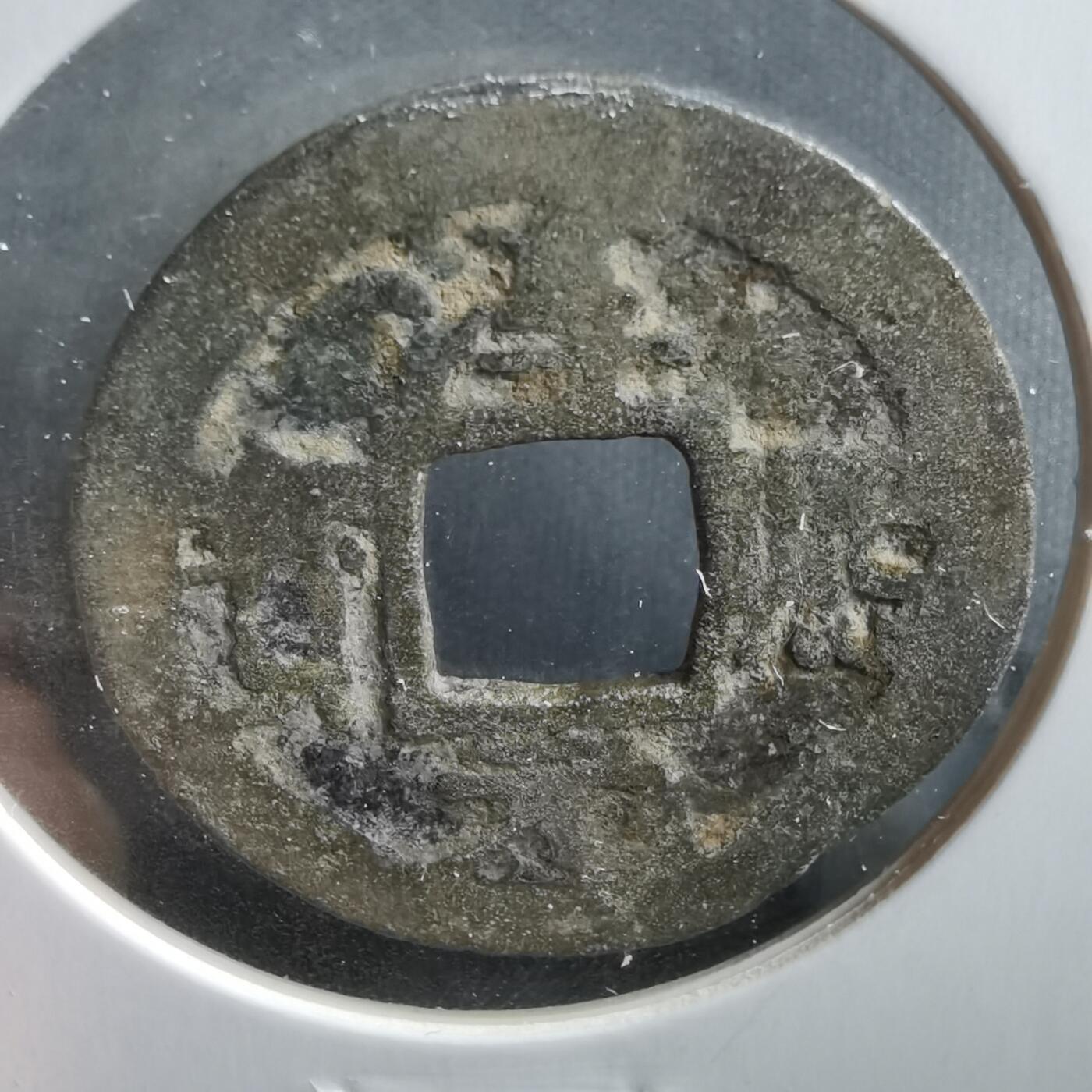 沼泽如烟--第906场