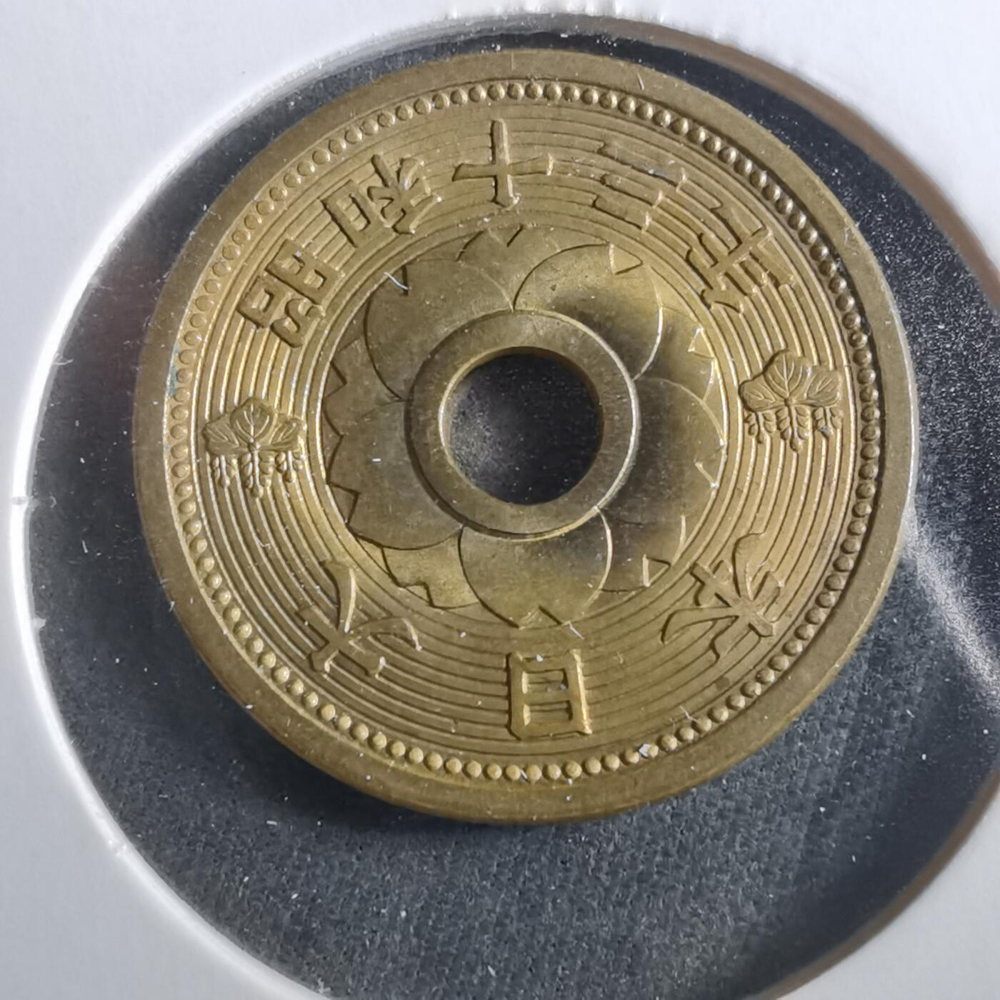 沼泽如烟--第906场