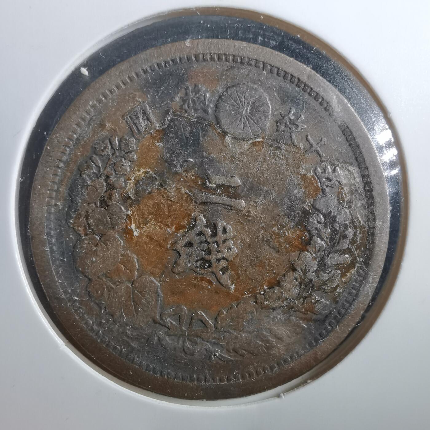 沼泽如烟--第906场