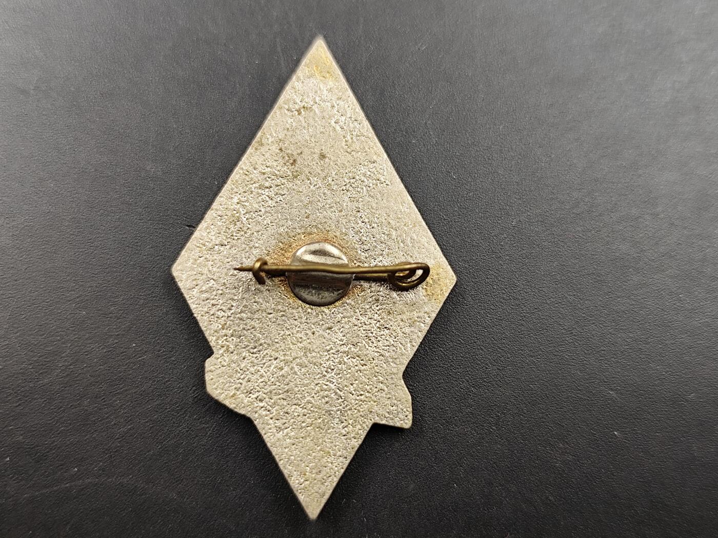 11月13日奖章钱币专场（今晚继续更新） 苏联拉脱维亚多贝莱自由兄弟会百年徽章