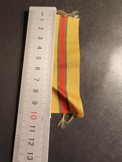 老王徽章第163期 13-15日三场连拍 16日统一发货  13、14日结束后可寄存 -  绶带    10cm