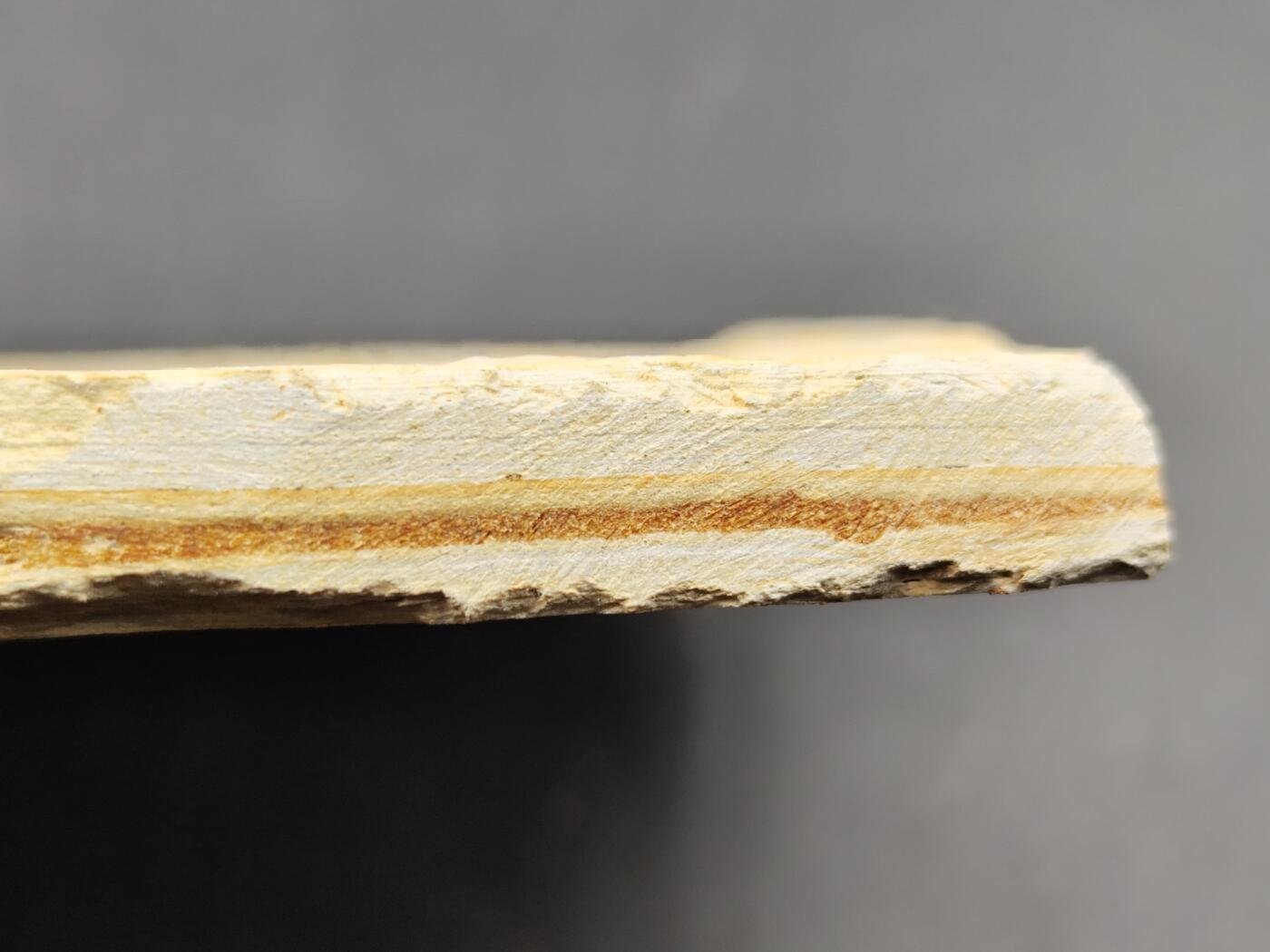 11月13日奖章钱币专场（今晚继续更新） 狼鳍鱼化石