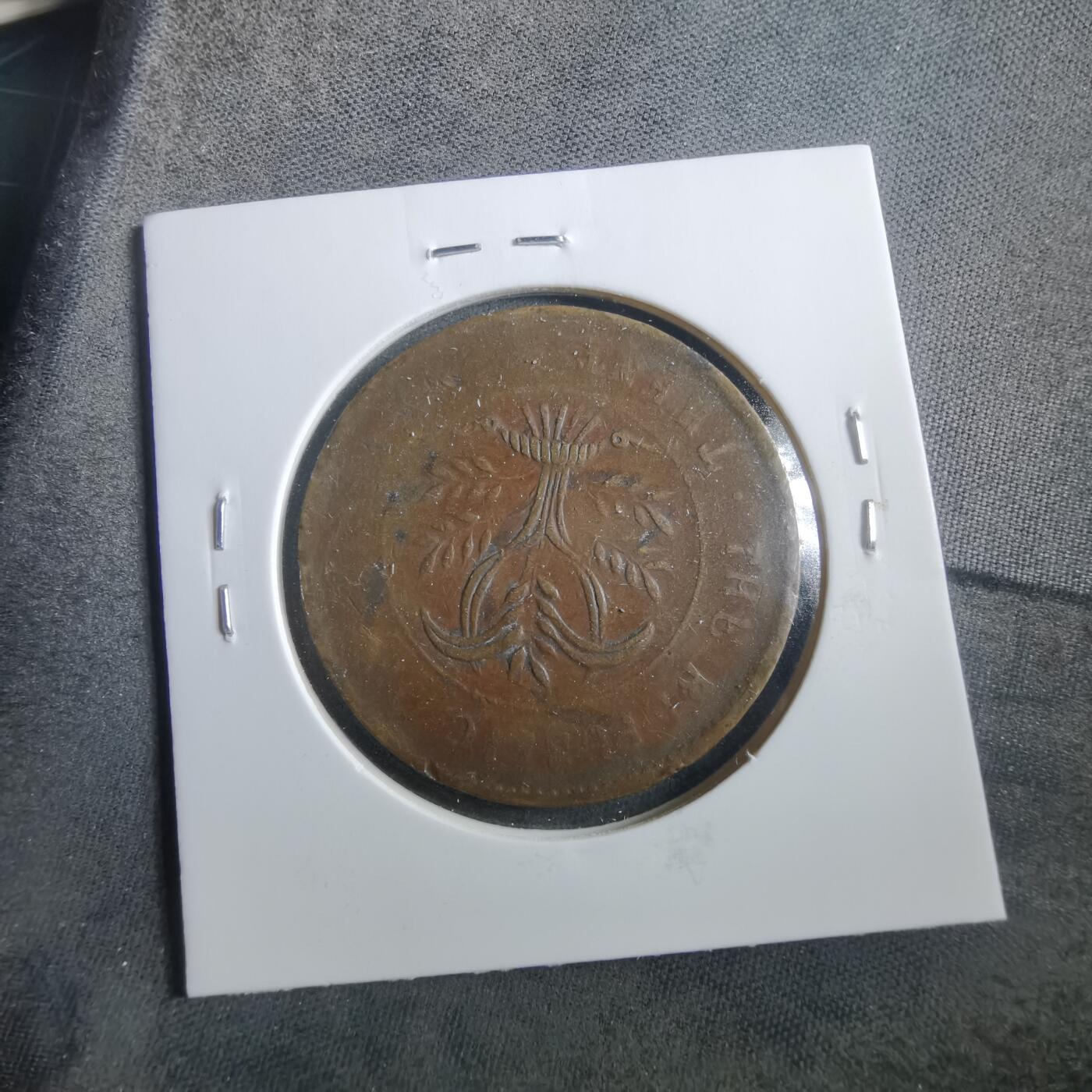 沼泽如烟--第906场