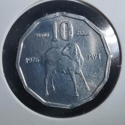 沼泽如烟--第906场 - 索马里1976年十分