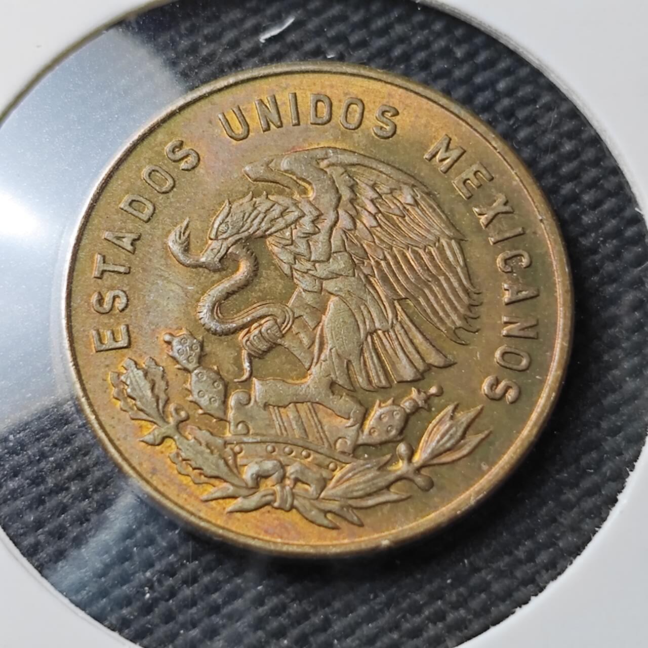 KK钱币收藏小铺  第371场  2月预留时间 周末发货  墨西哥女头5分铜币