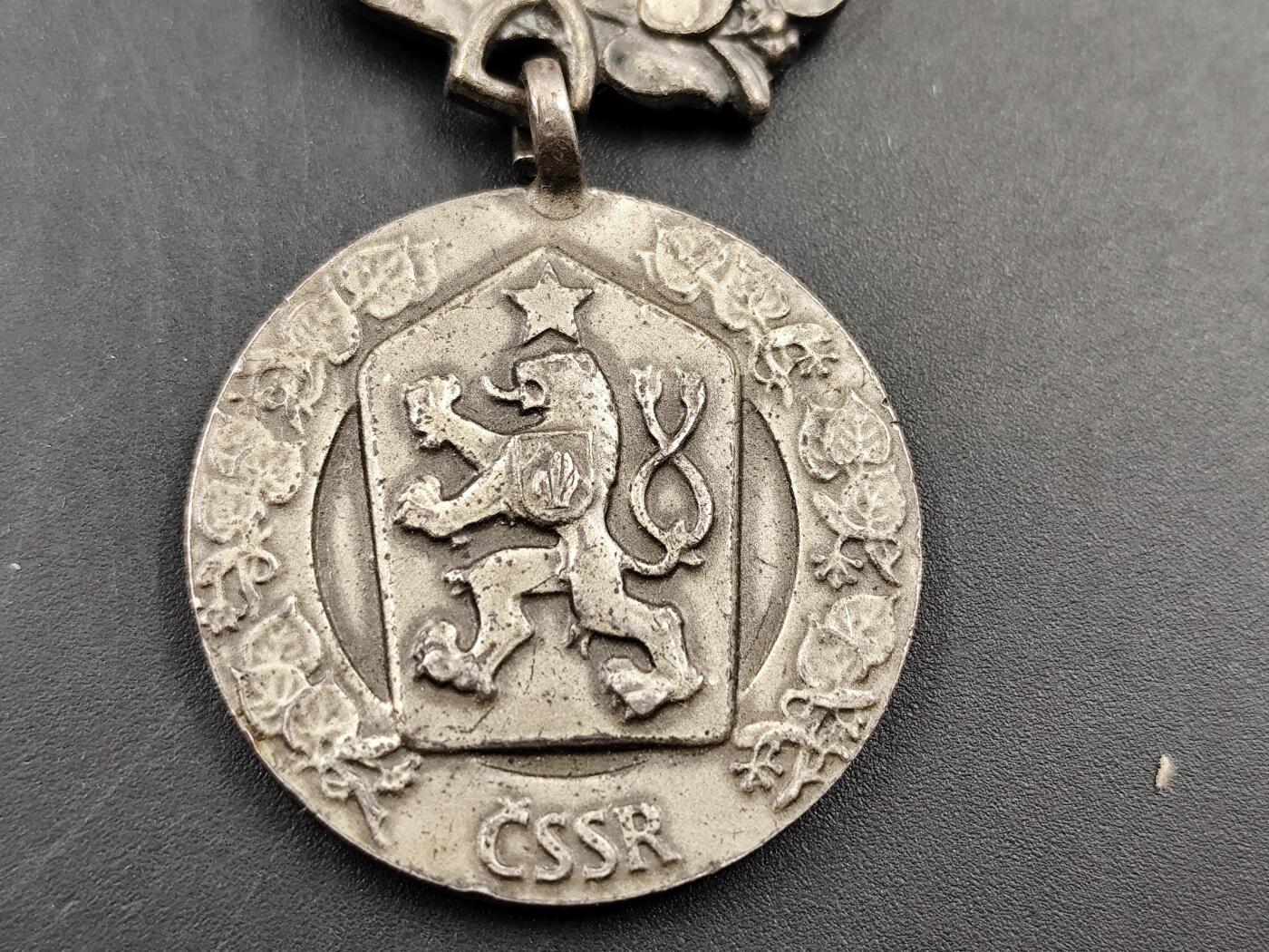 11月13日奖章钱币专场（今晚继续更新） 捷克斯洛伐克 祖国解放银质奖章925银质