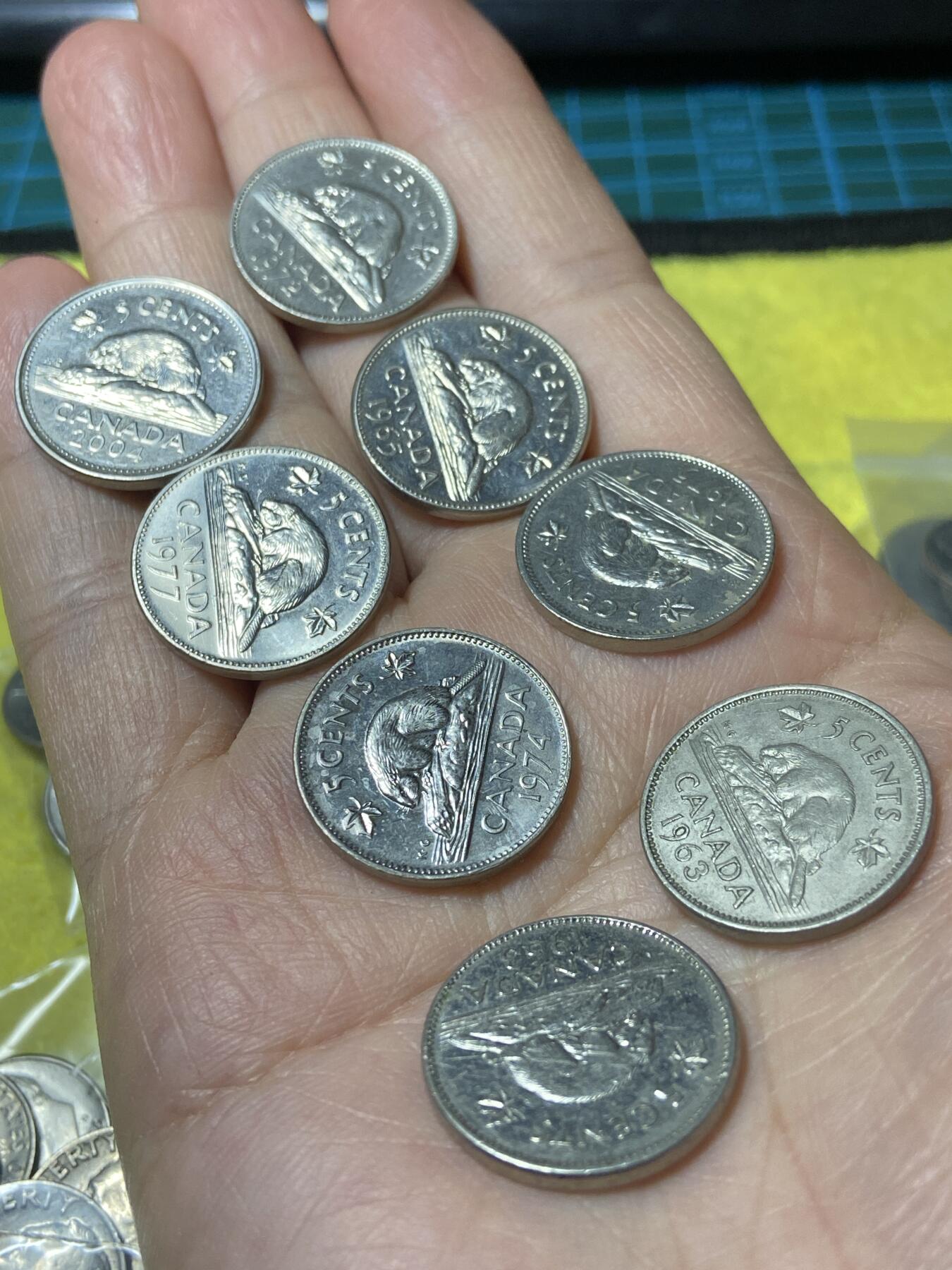 2025年第一百二十九场(总第一百五十五场）外国邮票、散币场(免佣金) 加拿大🇨🇦5分8枚：1963年65年72年74年75年77年2004年(青年桂冠、中年花冠、老年三个版)