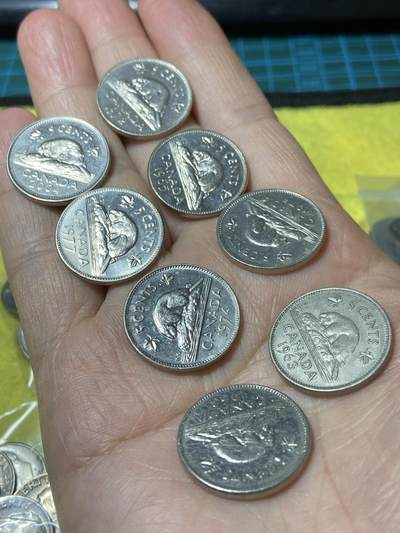 2025年第一百二十九场(总第一百五十五场）外国邮票、散币场(免佣金) - 加拿大🇨🇦5分8枚：1963年65年72年74年75年77年2004年(青年桂冠、中年花冠、老年三个版)