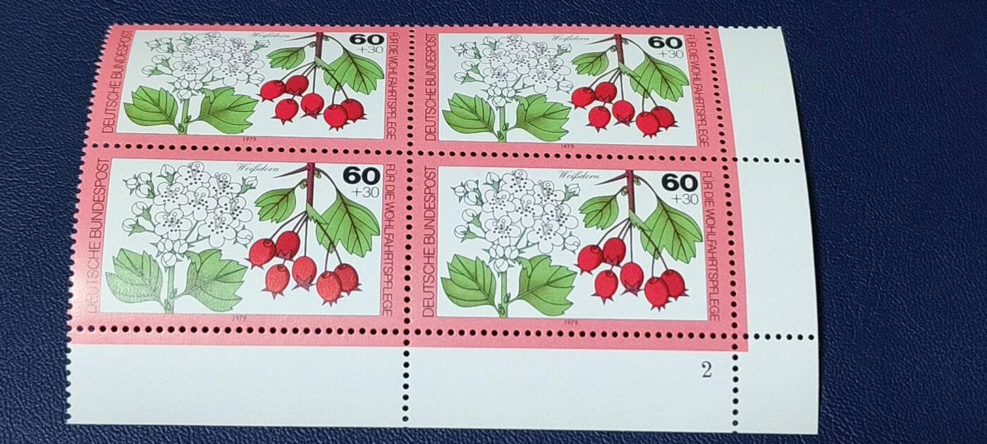 德国邮票专场，都是四方联 德国邮票  四方联，1979年发行，森林中的  花卉 果实4全 ，品相如图