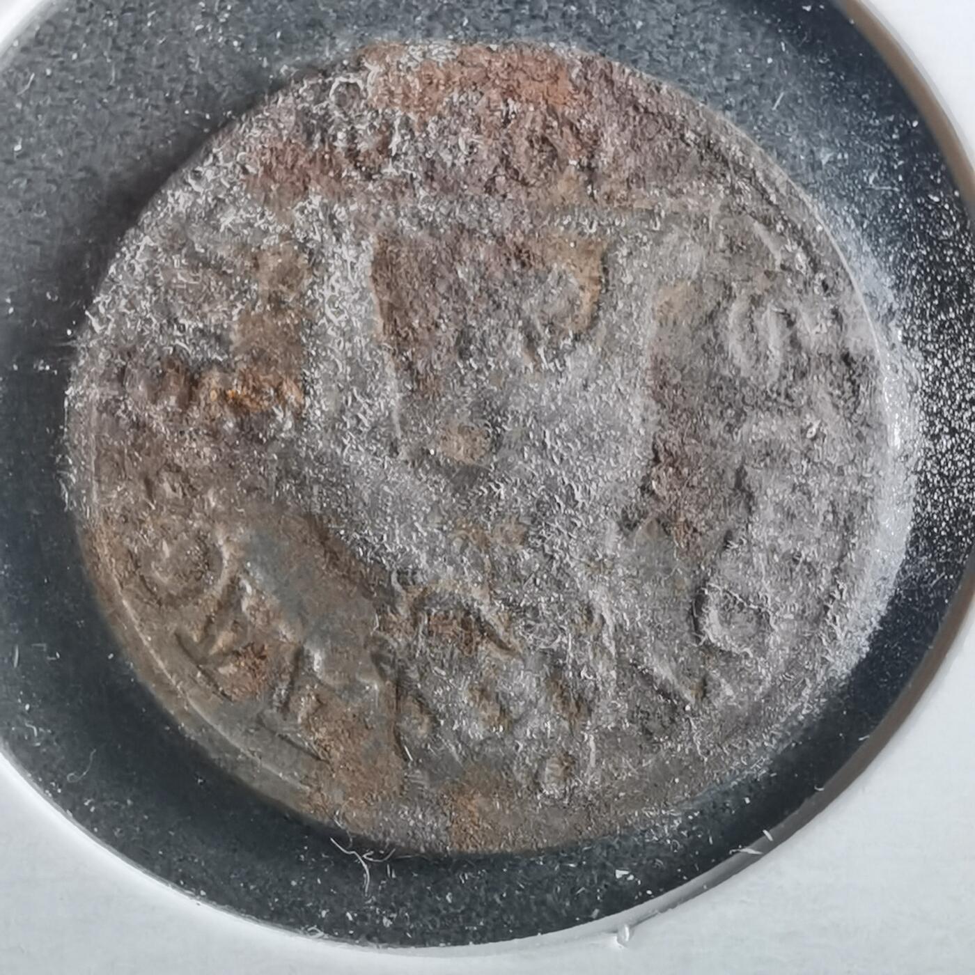 沼泽如烟--第906场