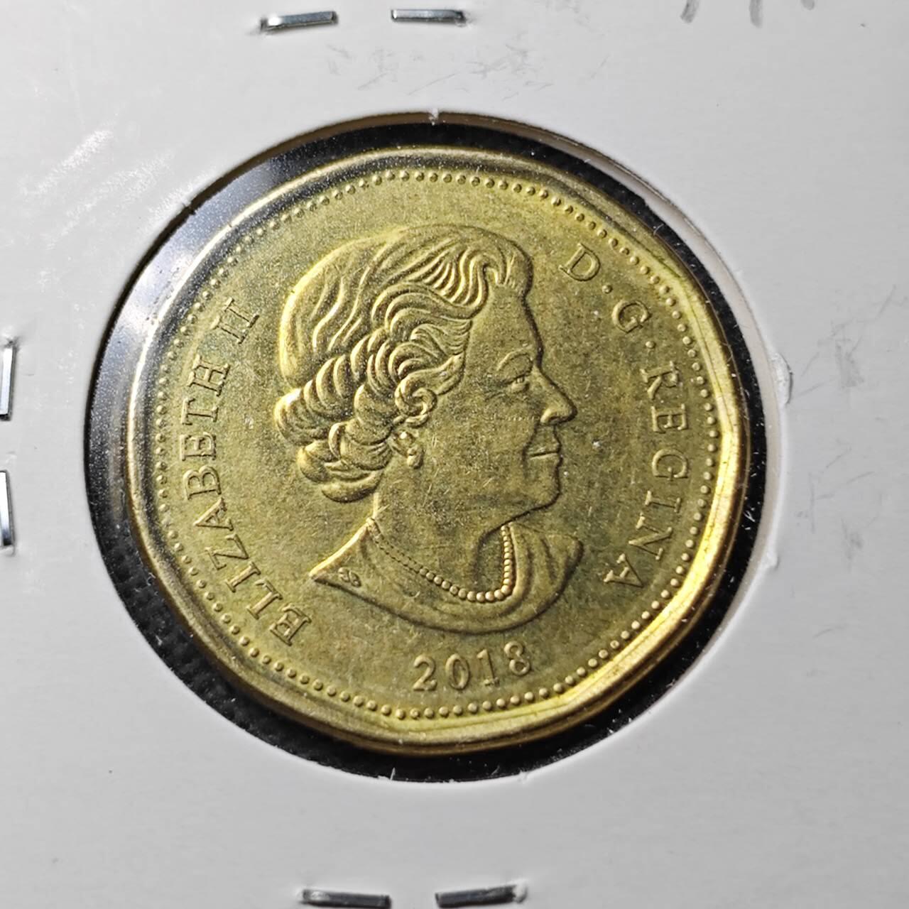 KK钱币收藏小铺  第371场  2月预留时间 周末发货