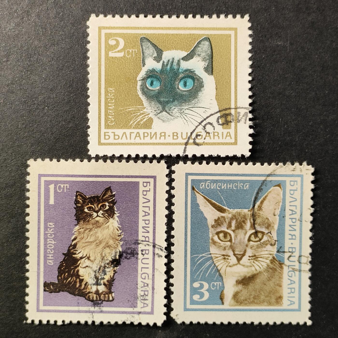 ↓君缘收藏654期☞钱币邮品↓无佣金、可寄存、满30元包邮  保加利亚邮票，1967年动物 宠物猫邮票