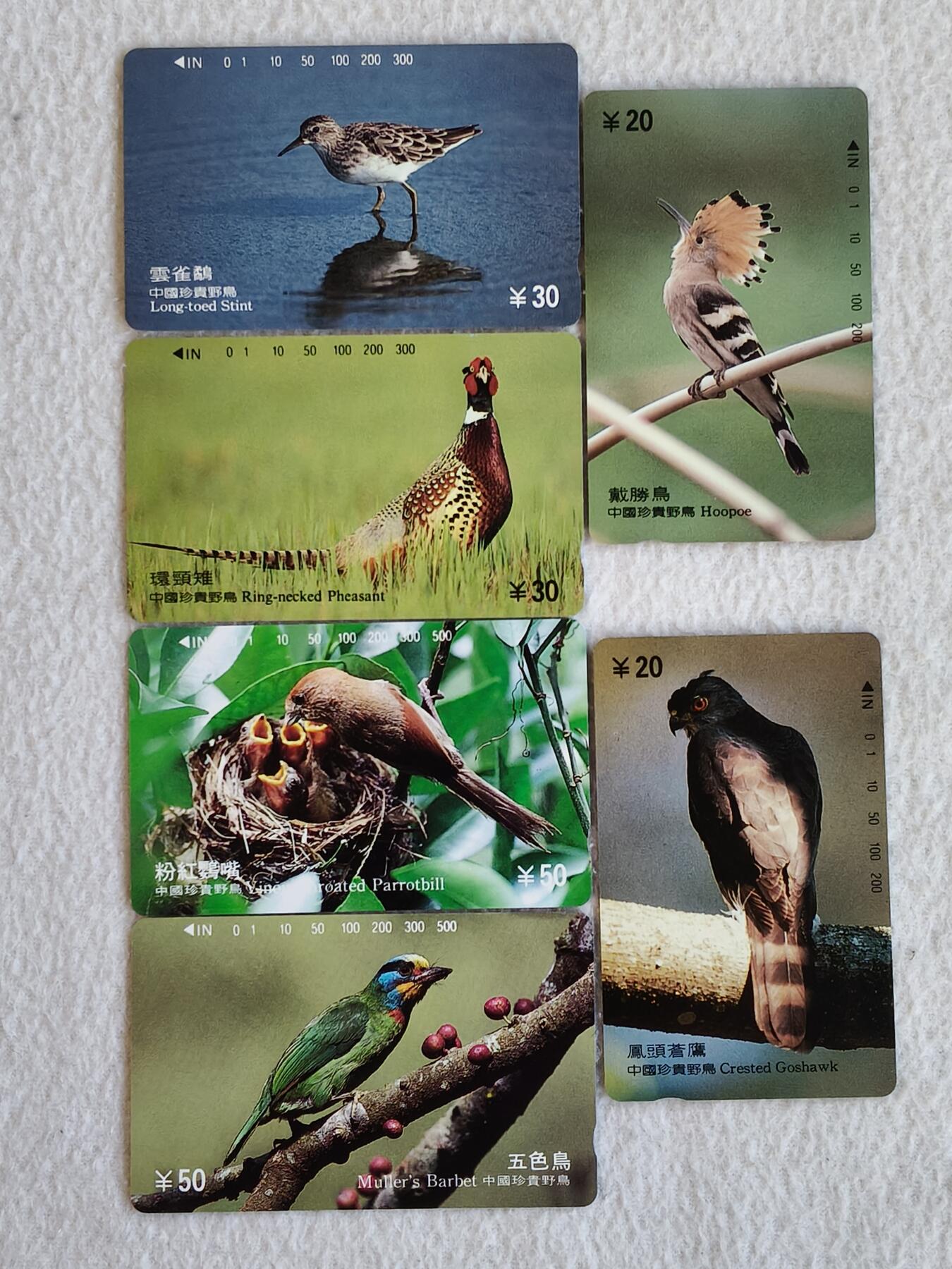 易卡拍卖第58期 珍贵野鸟（一）。易卡五星⭐️标。如图所示！