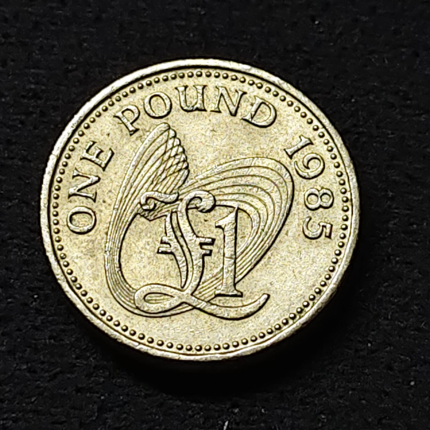 【全场包邮】纯粹捡漏拍478场（免费代拍第15场） 根西1985年货币符号1镑