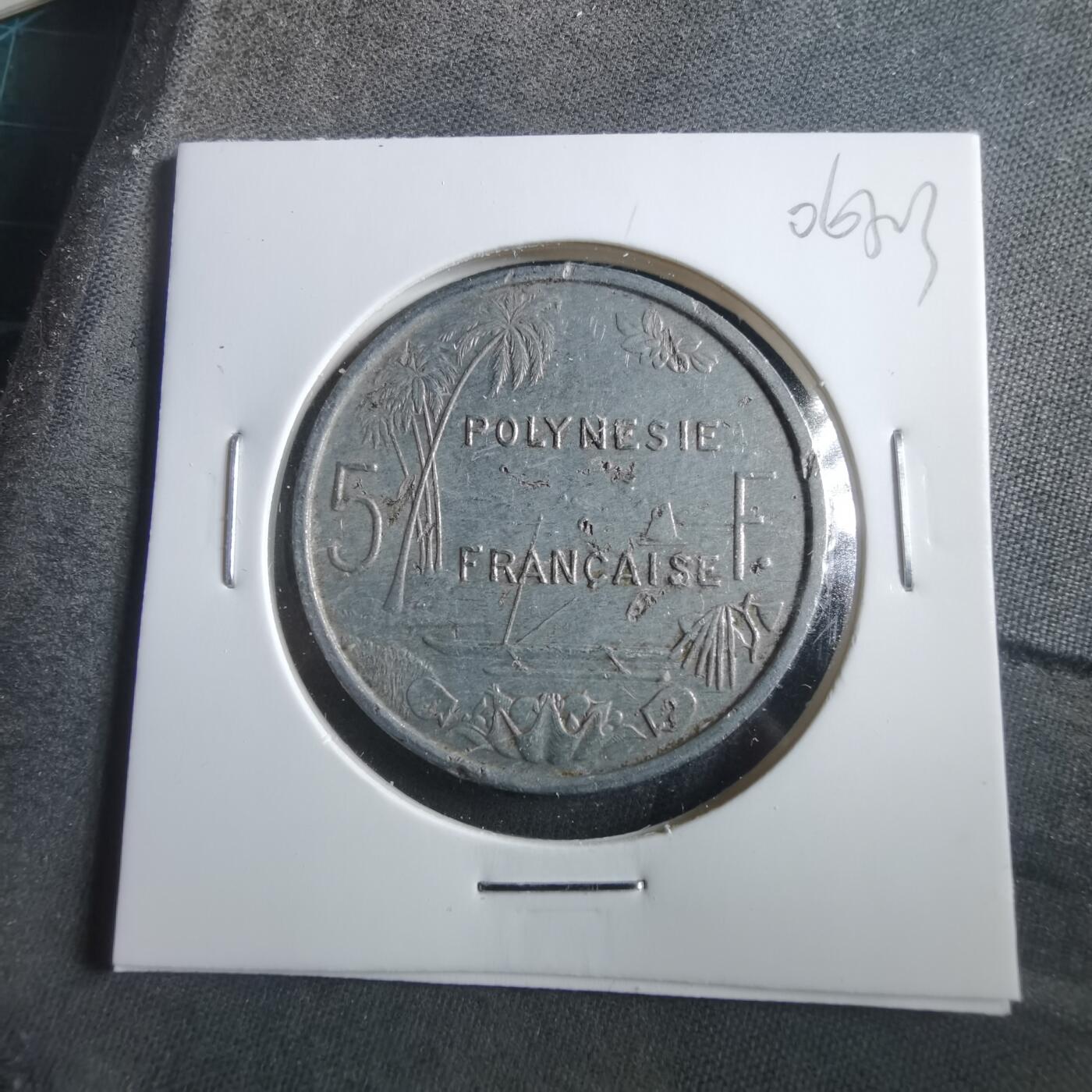 沼泽如烟--第906场